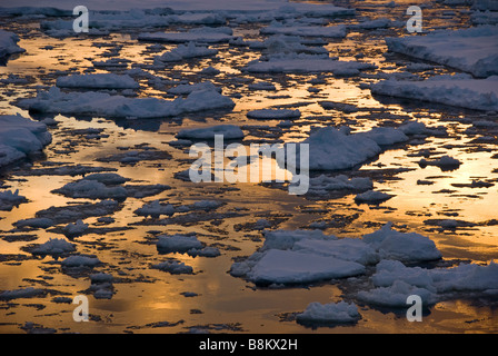 El hielo del mar al atardecer cerca de gancho Seebee, Cabo Hallett, Mar de Ross, en la Antártida. Foto de stock
