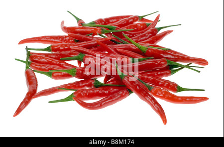 Pimientos rojos frescos aislado sobre un fondo blanco.