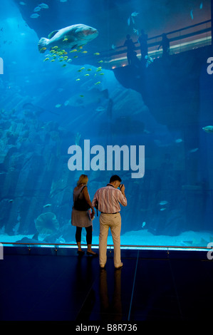 Centro comercial acuario, Dubai, EAU Foto de stock