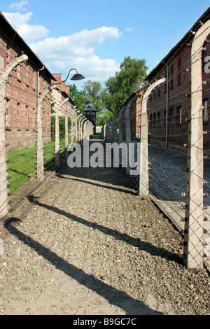 Auschwitz-Birkenau triple alambrada electrificada puesto de centinela en la distancia corredor entre prison block vallas Foto de stock