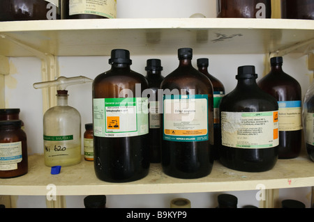 Los productos químicos peligrosos en un estante en un laboratorio Foto de stock