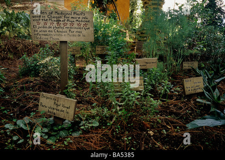 Jardín Medicinal maya en la Casa Na Bolom en San Cristóbal de las Casas,  Chiapas, México Fotografía de stock - Alamy