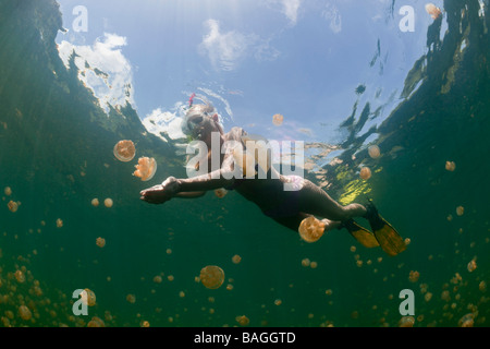 Submarinismo con medusas Mastigias inofensivas papua etpisonii Jellyfish Lake, Micronesia, Palau Foto de stock