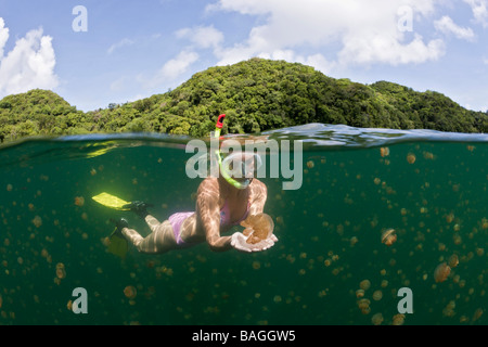 Submarinismo con medusas Mastigias inofensivas papua etpisonii Jellyfish Lake, Micronesia, Palau Foto de stock