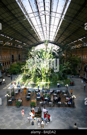 Interior de la Estación de Atocha con su piscina jardín botánico, Madrid, España, Europa, Foto de stock