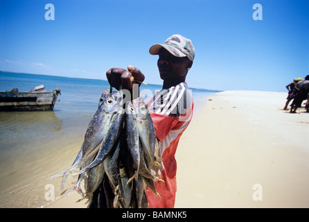 El pescador que captura home Inhassoro Mozambique Foto de stock