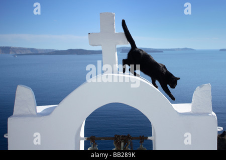 Gato doméstico (Felis silvestris, Felis catus). Gato negro en el campanario de la iglesia de Oia Foto de stock