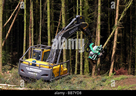 Excavadora retroexcavadora mecánica cortador de cosecha de madera de coníferas coníferas sitio en el norte del condado de Antrim de Irlanda del Norte Foto de stock