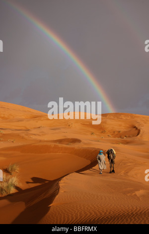 África, África del Norte, Marruecos, el desierto del Sahara, Merzouga, Erg Chebbi, líder Tribesman bereber, arco iris de camellos en el desierto