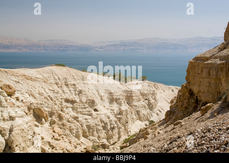Israel Mar Muerto el parque nacional Ein Gedi Foto de stock