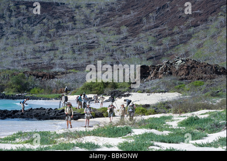Grupo de fotógrafos en la playa de arena de harina Flamingo Punta Laguna Cormoran Cormoran Floreana Galapagos Ecuador Océano Pacífico Foto de stock