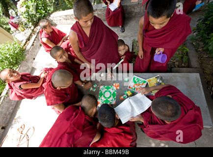 Los monjes novicios jugar puzzle. Tsechokling monasterio tibetano. McLeod Ganj. Dharamsala. La India Foto de stock