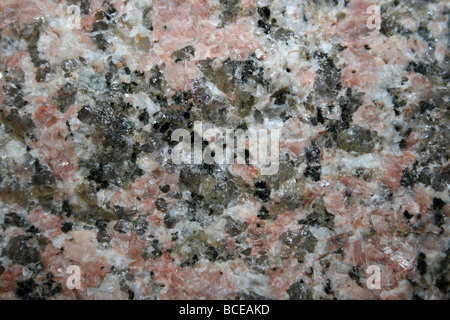 Shap Granito, Cumbria, Reino Unido un distintivo de granito de grano grueso con grandes rosa cuarzo, feldespato ortoclasa también biotita y plagioclasa feldespato Foto de stock
