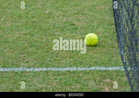 Pelota de Tenis en un corte de césped junto a la red Foto de stock