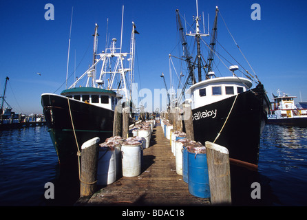 Point Judith Rhode Island botes de pesca Foto de stock