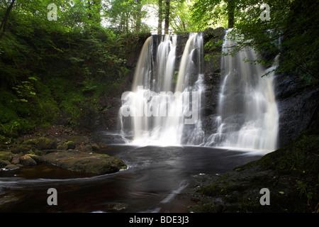 Ess-na-crub cascada en la inver river en glenariff Forest Park, Condado de Antrim Reino Unido Irlanda del Norte