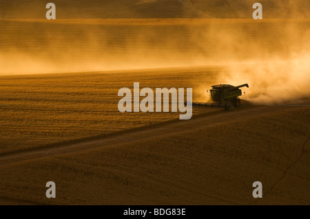 Una cosechadora John Deere cosecha trigo en terreno rodando ladera al atardecer / región Palouse, cerca de Pullman, Washington, Estados Unidos.