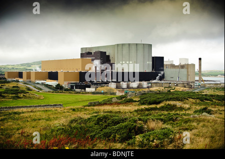 La estación de energía nuclear atómica Wylfa, en el norte de la costa de Anglesey, al norte de Gales, Reino Unido Foto de stock