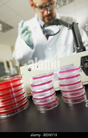 Pila de placas de Petri con un científico en el fondo Foto de stock
