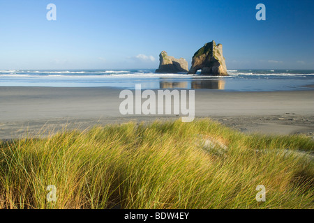 Las dunas de arena y por el poderoso surf islas rocosas esculpidas con cuevas y arcos de Wharariki beach, Nueva Zelanda Foto de stock