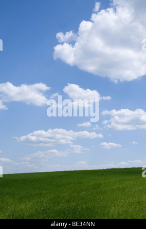 Paisaje de hierba con nubes en el cielo Foto de stock