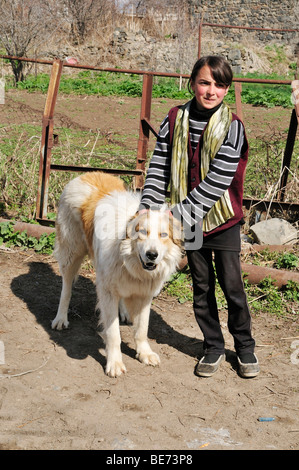 cual es la raza del perro gampr armenio