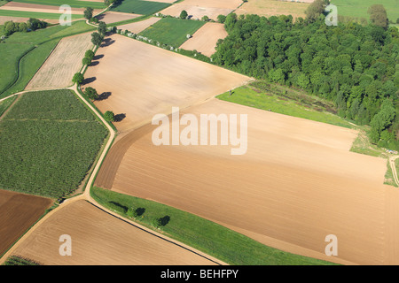 Hilera de árboles y bosques a lo largo del camino en los campos y praderas, desde el aire, Bélgica Foto de stock