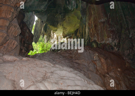 Gua Tempurung cueva interior mostrando la entrada cubierta forestal Foto de stock