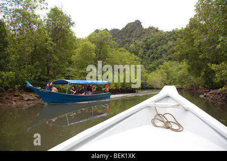 Langkawi Geopark - Kedah, Malasia, manglares, excursiones en barco para los eco turistas Foto de stock