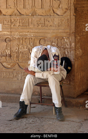 Guardia de dormir y jeroglíficos en el templo de Edfu, templo egipcio antiguo sobre la ribera occidental del Nilo, Egipto, Norte de África Foto de stock