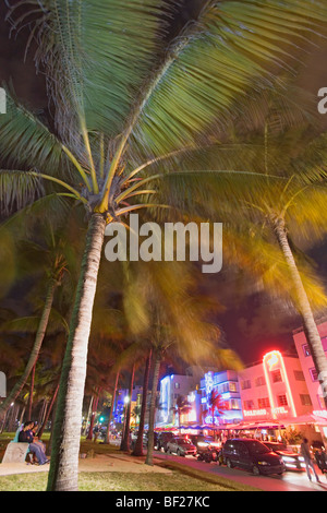 Palmeras e iluminado hoteles en Ocean Drive en la noche, el Distrito Art Deco de Miami Beach, Miami, Florida, EE.UU.