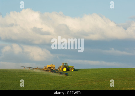 Suelo aplicación de herbicidas para el control de malezas en un campo de trigo de invierno el crecimiento temprano / región Palouse, Washington, EE.UU. Foto de stock