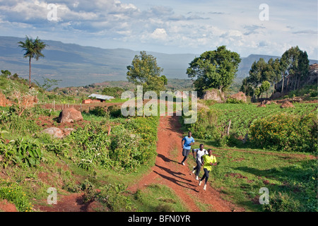 Kenya, Tambach Distrito. Los corredores de larga distancia de Kenia, en base a un campamento de entrenamiento en altura en Iten. Foto de stock