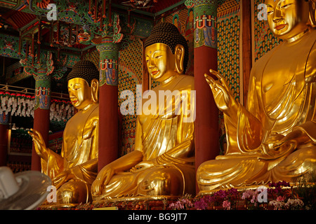 Golden budhha estatuas budistas en el interior del templo Jogyesa en Seúl, capital de Corea del Sur de Asia Foto de stock