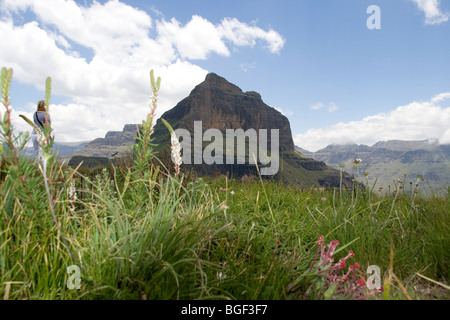 Montañas Drakensberg uKahlamba Catedral de pico Foto de stock