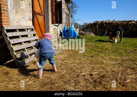 Stock foto de una niña de 3 años de edad ayudando a su madre con las cabras de la familia pequeña.