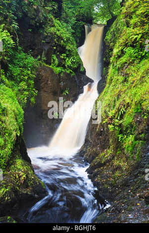 Ess-na-Larach Cascada en el Glenariff Forest Park, Condado de Antrim, Irlanda del Norte Foto de stock