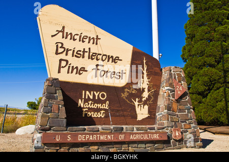 Antiguo bosque de pinos bristlecone signo, Inyo National Forest, White Mountains, California Foto de stock