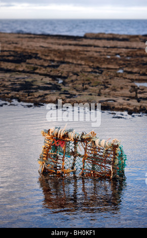 Broken lobster pot varada en una playa de Northumbrian Foto de stock