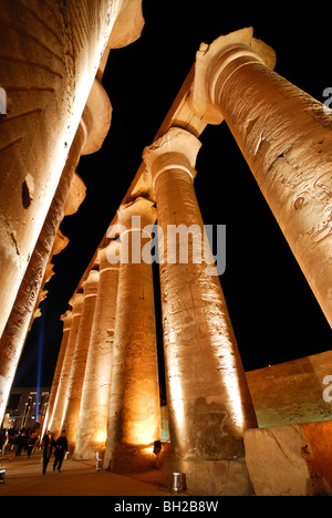 LUXOR, Egipto. Una vista de noche de las columnas a lo largo de la Columnata de Amenofis III en el Templo de Luxor. 2009.
