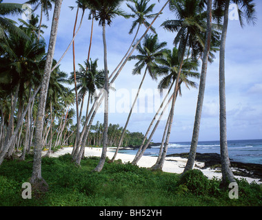 "Retorno al Paraíso" Lefaga Beach, isla de Upolu, Samoa Foto de stock