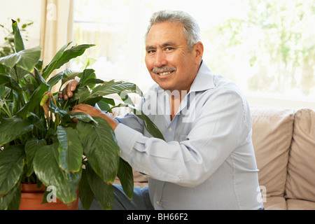 Hombre senior en casa cuidando de Houseplant Foto de stock