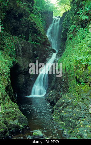Ess-na-Larach Cascada, cañadas de Antrim, Co. de Antrim, Irlanda del Norte Foto de stock