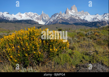 Mt. Cerro Torre y Mt. Fitz Roy, El Chalten, Andes, Patagonia, Argentina, Sudamérica