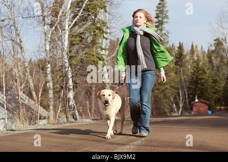 Mujer caminando su Labrador Retriever amarillo en caminos rurales, Trout Lake, Ontario, Canadá. Foto de stock