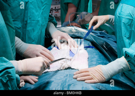 Los cirujanos que realizan una cirugía en un quirófano Foto de stock