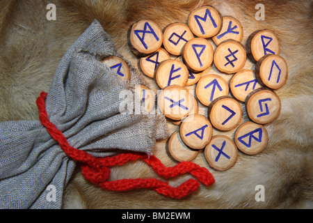 Las runas con bolsa en la piel Foto de stock