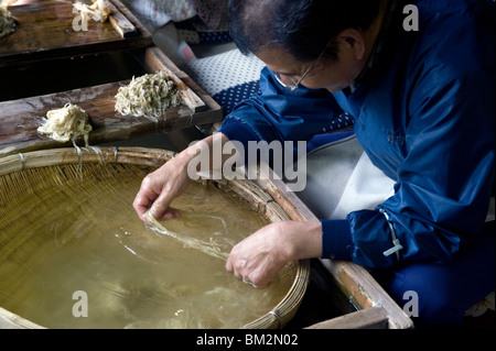 Separación de fibras de morera para hacer el papel japonés washi en el Washi Echizen no Sato aldea en Fukui, Japón Foto de stock