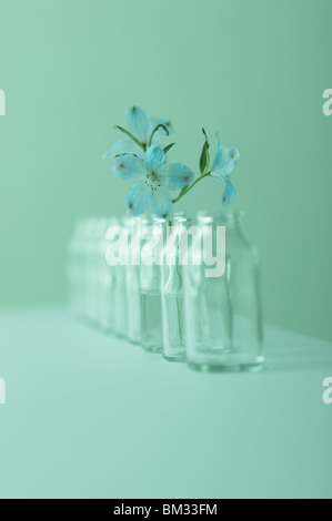Fila de botellas de cristal vacías, uno con flor, fondo verde, enfoque suave