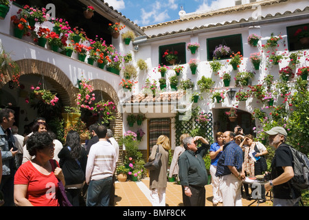 Córdoba, Andalucía, España. Patio festival anual Foto de stock
